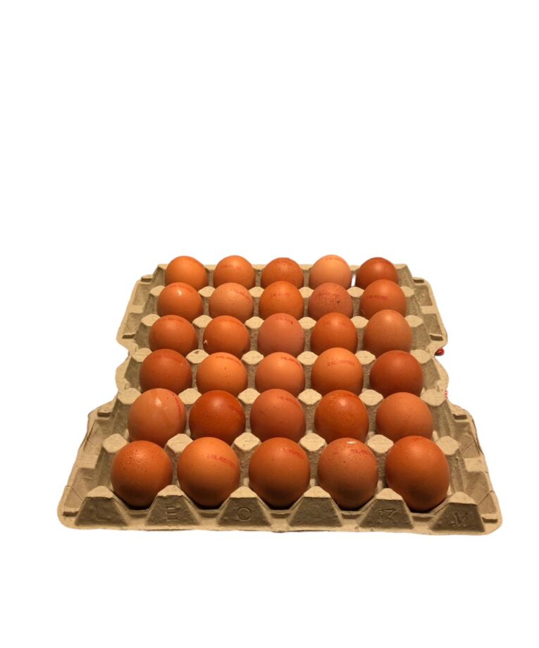 eieren bruin