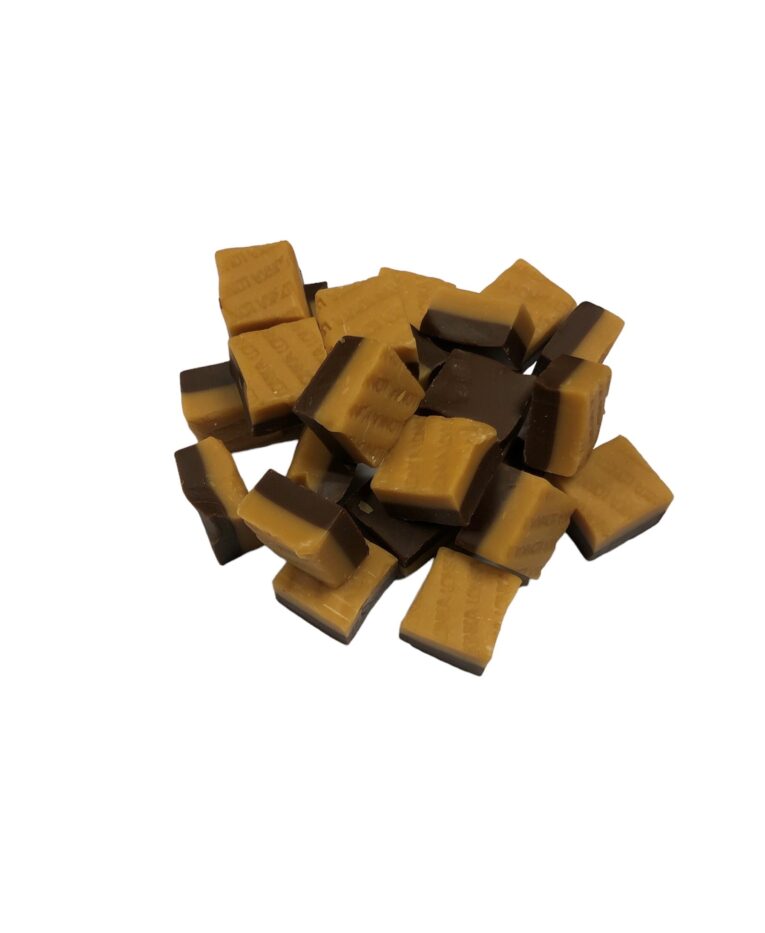 Chocolade karamel fudge blokken